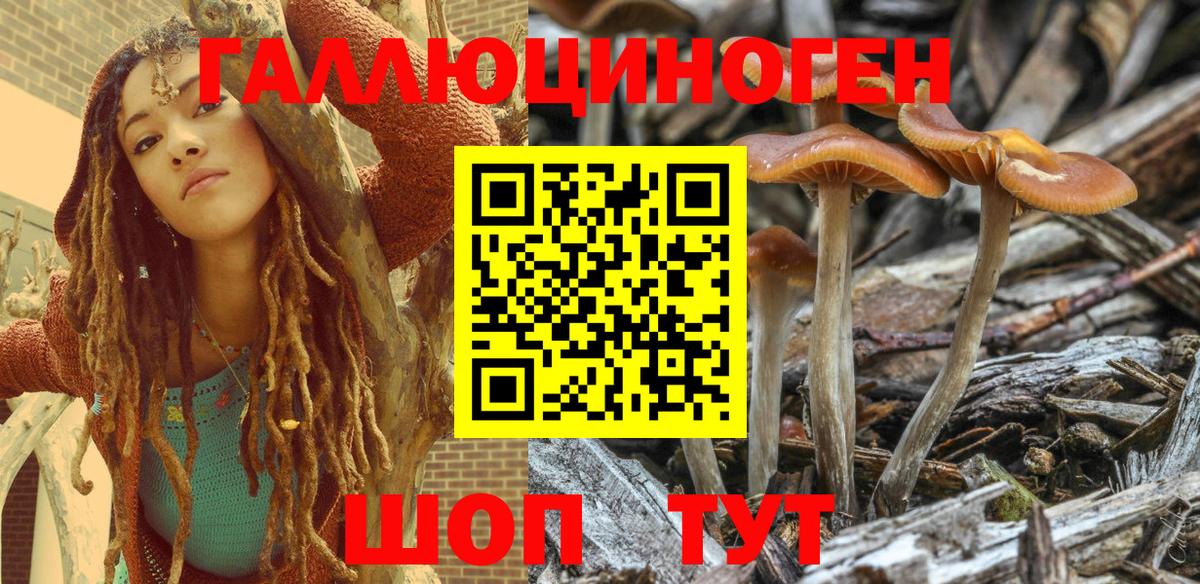 Псилоцибиновые грибы Psilocybine cubensis  Вход с VPN  что такое   Ханты-Мансийск 